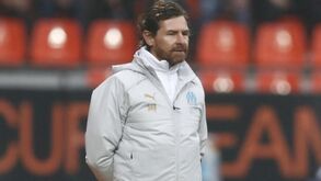 Villas-Boas vai festejar golos do Marselha ao FC Porto? «É quase um jogo entre pai e filho»