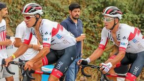 Gémeos Oliveira: A estreia da camisola de campeão nacional e as luvas da Volta a Flandres