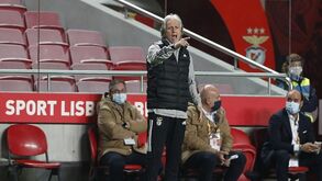 «Jorge Jesus não vai dar indicação para que devolvam bolas e parem o jogo»