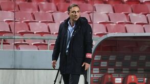 Carlos Carvalhal: «Não se ganha na Luz sem sangue, suor e lágrimas»