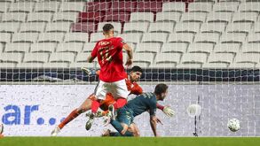 Seferovic: «Temos de ser mais agressivos»