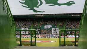 Sporting confirma buscas da PJ em Alvalade e esclarece o que está em causa