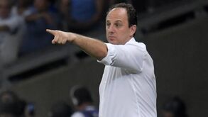 Flamengo já escolheu o novo treinador