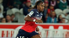 Só um jogador impressionou tanto o treinador do Lille como Renato Sanches