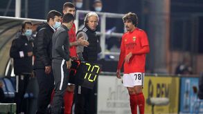«Jorge Jesus considera que existe uma diferença grande entre os jovens da formação e os da 'elite' no Benfica»