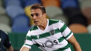 João Palhinha: «Foi um grande jogo da nossa parte»