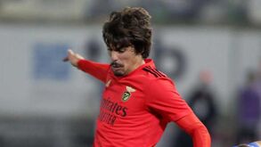Tiago Araújo renova pelo Benfica até 2025
