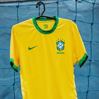 Homenagem à equipa que encantou no Mundial'70: eis os novos equipamentos da  seleção brasileira - Fotogalerias - Jornal Record
