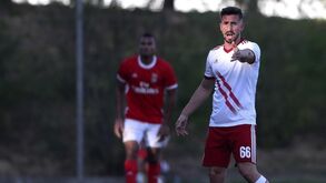 André Ceitil e Gabriel Honório foram operados e falham cerca de um mês de competição