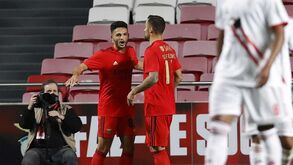 A crónica do Benfica-Vilafranquense, 5-0: petisco ao jantar