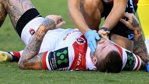 Elefante  no meio  do relvado