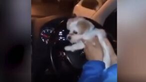 Novas imagens polémicas da futebolista Madelene Wright: foi por ações destas que foi despedida