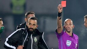 Sporting aponta ao dedo à arbitragem com FC Porto e Luís Godinho na 'mira'