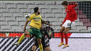 O golo salvador de Waldschmidt que deu a vitória ao Benfica