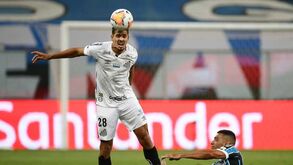Santos tem novo presidente. O que muda para o Benfica no negócio Lucas Veríssimo?