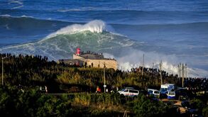 Surf volta a ser permitido na praia do Norte na Nazaré mas em horas e dias específicos