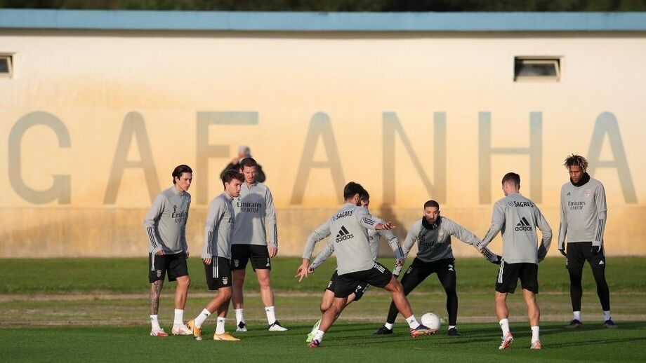 Gafanha agradece confiança do Benfica para a realização do estágio