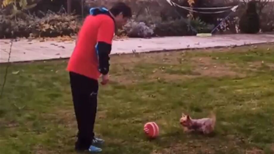 Momento caricato partilhado no Twitter