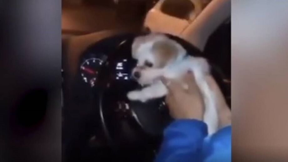 Charlton Athletic não gostou do comportamento da atleta e agiu em conformidade