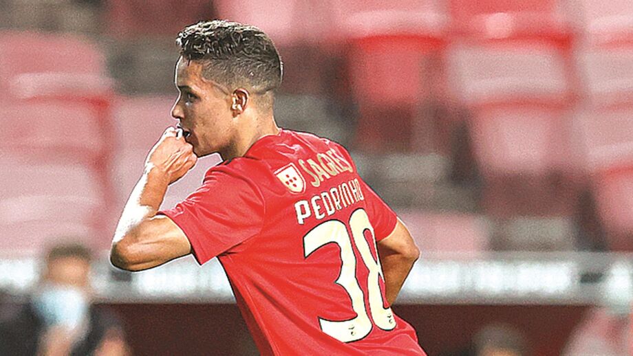Pedrinho: um ”sacaninha” difícil de parar