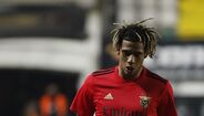 Todibo