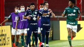 Brasileiros rendidos a Abel Ferreira: «Foi a melhor exibição do Palmeiras na história da Libertadores»
