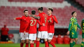 A crónica em vídeo do Benfica-Tondela