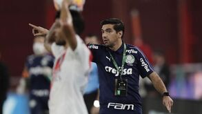 Abel Ferreira eufórico com final da Libertadores: «O River tem um treinador melhor do que eu...»