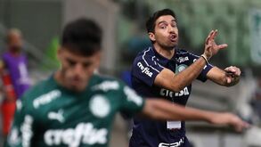 «Abel Ferreira tirou leite de pedra, veio mudar isto tudo»