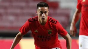 Franco Cervi mais perto do New York City