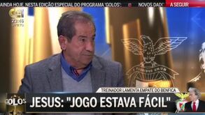 Octávio Machado: «Não foi nenhum papagaio, foi uma arara...»