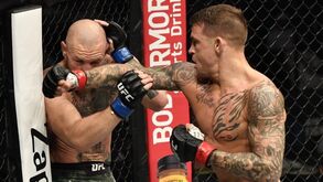 Dana White compara McGregor a Rocky III: «Está numa encruzilhada e precisa de escolher»