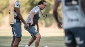Treinador do Santos elogia Abel, mas quer ganhar Libertadores: «A palavra medo não existe»