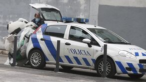 Polícia retira tarja da Juve Leo e leva-a na bagageira do carro