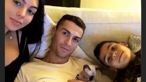 Gato de Ronaldo e Georgina enviado para Espanha em avião privado após ser atropelado em Turim