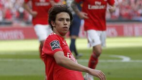 Ferreyra: «Quando vi João Félix parecia um bebé, mas nos treinos...»