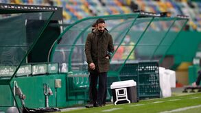 Rúben Amorim e a presença de Palhinha no dérbi: «É sempre um jogador importante, como todos»