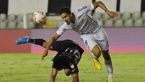 Manhã Record: Tottenham quer ouvir Amorim, o fruto do Sp. Braga desejado pelo Benfica e as contas do ranking UEFA