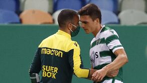 Rúben Amorim e o 'caso Palhinha': «Sporting salvaguardou-se, logo a preocupação é zero»