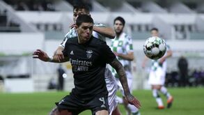 Banco do Benfica saltou a pedir penálti de Ferraresi sobre Darwin frente ao Moreirense
