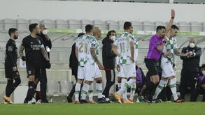 Benfica questiona arbitragens e pede respostas urgentes