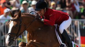 Federação equestre cria protocolo com Faculdade de Medicina Veterinária de Lisboa