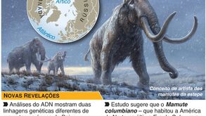 Sequenciado o mais antigo genoma