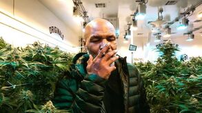 Mike Tyson faz fortuna todos os meses com a sua plantação de cannabis e aproveita para fumá-la