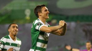 João Palhinha livre para o FC Porto-Sporting: as razões que deixam Rúben Amorim descansado