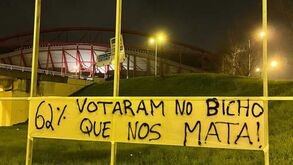 Novas tarjas de contestação a Luís Filipe Vieira e Jorge Jesus junto ao Estádio da Luz