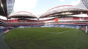 SAD do Benfica apresenta lucros de 8,2 milhões de euros no primeiro semestre de 2020/21