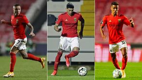 Benfica revela todos os valores envolvidos nas contratações desta temporada