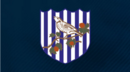 95. West Bromwich Albion (1900 a 2006)