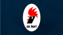 7. AS Bari (2011 a 13)